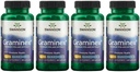Swanson 最大强度 Graminex Flower Pollen 提取 - 支持前列腺健康,尿道切克功能,和肾脏健康 - 男士健康补充剂 - (60 Capsules,每包500毫克) (4包)
