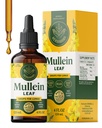 HERBAMAMA Mullein Drops for Lungs - Vegan Lung Clease with Mullein Leaf Excert, Echinacea Tincture & Licorice - 非GMO,酒精和无糖呼吸支持补编 - 56日供应