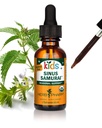 Herb Pharm Kids 认证 - 无酒精辛努斯 三武士液体草药配方,有机, 1 Fl Oz