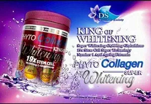 Phyto Collagen Whitening 19X STEM CELL 抗衰老 Pro Whitening 成果能源