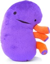 I Heart Guts Kidney Plush – 9)" 肾病教育器官玩具,移植恢复,透析,CKD,多细胞肾脏,肾衰竭 – 有趣的Get Well Gift