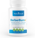 BerberBurn+:Berberine 补充材料,《每日健康与能源、促进生命力和保持平衡、健康的基本营养物》,60个