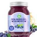 Sea Moss Gel,18.5OZ Raw Flavored Irish Seamoss Gel Immune和消化支持维生素矿物质补充品,蓝莓