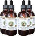 夏威夷药草白柳无酒精液体提取,有机白柳(Salix Alba) Dried Bark Glycerite Natural Herbal Supplement, USA 4x4 f.oz