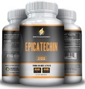 EPICATECHIN - 每人500马力 - 60马力和1000马力 - 每人1 000马力 - 30马力 - 最大力量 - 降低Myostatin - 提高精益肌肉和力量 - 帮助蛋白质合成