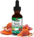 自然界的无酒精解答 Reishi 提取果实体,1-Fluid Ounce 液体提取液