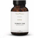 土耳其Tail蘑菇增刊. 双提取物,纯果实体,30%的聚沙酰胺,500 mg,120 vegecaps(60天供应). 能够支持健康的免疫功能