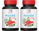 Saw Palmetto 补编 - 前列腺支持 PILS - 天然成份, Saw Palmetto, Stinging Nettle Leaf, Maitake Mushroom, Reishi, Shiitake, 男子前列腺支持补编, 2瓶120盖