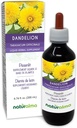 Naturalma Dandelion (Taraxacum officinale) 根和草无酒精丁香 - 6.76 fl oz 滴液提取 - 草药补充 - Vegan