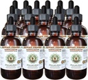 肉桂无酒精液体提取,肉桂(Cinnamomum Verum) 干巴克甘油(Glycerite) 夏威夷药草天然草药补充剂 15x4 oz