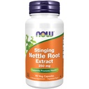 Now 食品补充品,Sting Nettle 根提取(Urtica dioica) 250毫克,支持前列腺健康*,90维卡普尔