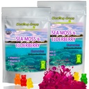 爱尔兰海 Moss Gummys – Raw 有机野外工艺的太阳-干海莫斯 Powder Gel – with Bladderwrack Burdock Root – Alkaline Keto Vegan Non-GMO – Skin Detox (Elderberry) (英语).