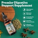 Rejuvica Health DigestaPro - 高级文摘比特斯补编 - 液体交付更好的吸收 - Gentian, Artichoke, Burdock, Chanca Piedra, Ginger & More!