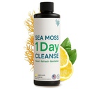 大西洋自然 - 1日Colon Cleanse全体解毒饮料 - Sea Moss 补充女性和男性, Gut Health, Kidney & Liver Imune Energy Cleanse - Lemon Flavor Juice, 8 fl oz