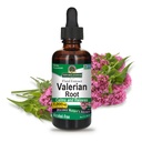Nature's Answer Valerian Root QQ 推动休息 QQ 冷静与放松 超集中1000mg 超集中 1000mg 无酒精 科舍认证 & Vegan 2oz (Pack of 2)