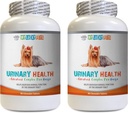 狗斑块支持 - 狗斑块健康公式 - 帮助解决失禁和斑块问题 - Immune Boost - 狗斑块补充品 咀嚼 - 2瓶(180份治疗)