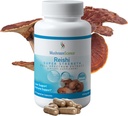 蘑菇科学 Reishi 蘑菇盖 超强全谱提取 成人天然蘑菇补充 热水提取蘑菇 健康支持 蔬菜 400MG, 90 CT