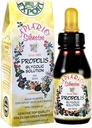 巴西Green Propolis Glycolic 提取 - Immune Booster/Sore Throat/Oral Care/抗氧化剂/Cardio Health - 从巴西圣保罗进口 - 1瓶
