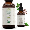 HerbEra Clove B60 USDA 有机丁香 QQ无酒精提取,高位草药滴,Immune System 健康 QQ认证有机丁香 干花芽(2 fl oz)