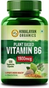 植物维生素B6 支持豁免、脑健康(120卡普勒)