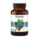 喜马拉雅岛有机Mucuna Pruriens,60天供应 -- -- 缓解紧张和促进大脑功能的草药补充剂 -- -- Vegan、N-GMO、Gluten Free、600毫克、60卡