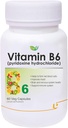 Nutranix BHM 维生素B6(氯化P)