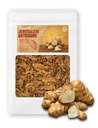 (8oz) 农夫王后烤制的耶路撒冷 Artichoke Helianthus Tuberosus 富于胰岛素 菲贝 돼지감자