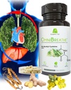 OMNIBREATHE - 快速改善呼吸问题 NAC 600MG 科学公式 w. Quercetin/Mullein/Coq 10/Ginger/Stinging Nettle/Bromelain, 3 Times w. Meal (10天供气)