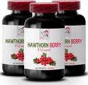 HAWTHORN BERRIES EXTRACT - Hawhorn Berry 抗氧化剂、Hawhorn 提取剂、Berry 补充剂、Hawhorn Berry 皮肤、女性能量补充剂