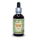 草药 Terra 有限责任公司 Stinging Nettle (Urtica Dioica) Glycerite,有机干叶无酒精液体提取 2 oz