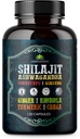 Shilajit for Men – 8-in-1 适应性补编,配有 Ashwagandha, Cordyceps, Ginseng, Rhodiola, Turmeric, Chaga & Ginger – 自然能源,压力救济和免疫支持120 Vegan Capsules