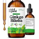 野生和有机Ginkgo Biloba Tincture - 用Ginkgo Leaf补充的大脑和重点支持 - Vegan,糖和无酒精草药提取Tincture - 2 fl oz