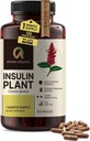 Premium Quality Costus Igneus (Insulin Plant) Capsules - 易吞 120 Veggie Capsules (1个月供应) - 在美国制造 - 包括完整的健康支助方案