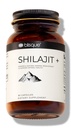 Blisque – 纯喜马拉雅有机物 Shilajit Resin 提取 Capsules 真实和自然 → 金品级 A → 含有富尔维酸和追踪矿物 → 90 Capsules