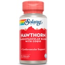 SOLARAY Hawthorn 特殊公式, 150mg, 90 计数