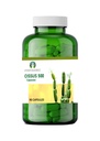 Asthishrunkala 粉末 Cessules Cissus 四角形 90 Cassules 500mg