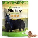 Silver Ling Herbs Pituitary Gland 马匹补充品 - Equine Metabolic Supports, Cushing's, Sweating & Shedding Issues - Mood & Energy 马匹补充品 - 1 lb 60天供应