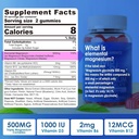 镁补充500mg, 镁复合胶体 w/ 镁甘油酸盐, Malate, Citrate, D3, B6, B12 睡眠, Migraine Relief, Muscle & Bone, Ultimate 吸收镁补充剂, 2 Pack