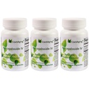 破碎 超级吸附 Astragaloside IV 98% 成人免疫支持抗衰老补充剂 50mg/Cap 90 Caps in 3 Bottle