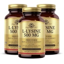 Solgar L-Lysine 500 mg - 100 蔬菜胶囊,包装3 - 皮肤和组织支持 - 非GMO、Vegan、Kosher、Gluten Free - 300 总服务