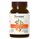 Himalaya FlorAvani - 草药消化健康补充剂,支持心脏灼伤和Nausea Relief - Vegan, Non-GMO,Gluten Free,临床研究,271 mg,90 Capsules