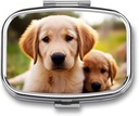 药盒2 比较方形药丸 组织者 每日小药丸案 旅行 可爱金色 Retriever Pupy Metal Pill 容器 便携式药品 药丸 维生素鱼油补充剂组织者