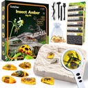 GobiDex Amber Dig Kit - 人工昆虫 Rein, Excavate 6 昆虫标本, STEM 地理教育 臭虫玩具, 为趣味虫党所爱的挖掘玩具, 为6-8 8-12岁孩子所爱的科具