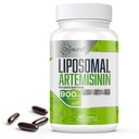 900 mg 最大吸收的利波索马尔青蒿素,甜沃木提取剂(阿特米西亚·安努瓦),配有奎尔西丁植物素200 mg,60 软胶 - 2个月供应量