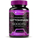 Nattokinase 补充 Capsules 5000 FU,第三方测试 Nattokinase – 来自日本的酶 Natto – Daily Wellness Supports – 120 Counter (Pack of 1)