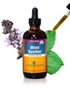 Herb Pharm Mind Soother: Holy Basil:支持冷静和放松的液体卡瓦补充剂,稳定对神经系统的支持,与诺贝尔卡瓦和拉文德花一起制作,Vegan,Gluten-Free,4 oz*