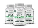 有机体 海洋野生海 Moss Capsules - 100% Irish Organization Sea Moss 有机氯菌、Bladderwrack 和维生素D 用于能源、肺部健康和甲状腺对男女的支持 -- 3瓶