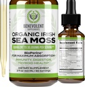 仁爱的努里什 有机爱尔兰海 Moss Drops 2oz - Burdock root, Bladderwrack & BioPerine [Ultra 力量] 30,000 mg 海 Moss 液体 Drops for Immune Support, Thyroid, Gut, Skin & 联合健康