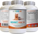 狗尿道切除支持 - 狗尿道健康公式 - 帮助解决失禁和斑点问题 - Immune Boost - 玉米丝绸药丸给狗 - 1瓶(90 treats)