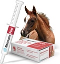 美洲虎动物健康泡沫 -- -- 支持适当水分和肉球健康的Equine Supplement -- -- 食前泡沫的植物产品(30毫升)